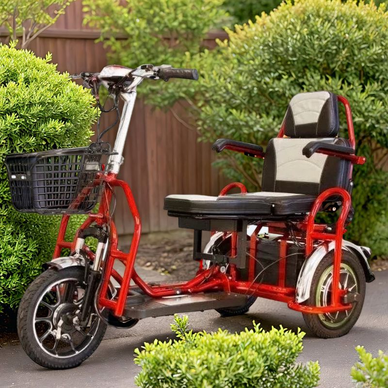 Электротрицикл Elbike Адъютант A4 Электротрицикл Elbike Адъютант A4
