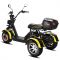 Электроскутер SIBERTON PRO TRIKE MAX 3950W 